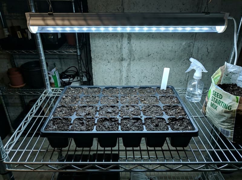 A freshly filled black seed tray on a wire basement shelf under an LED shop light, a blank plant label in one cell