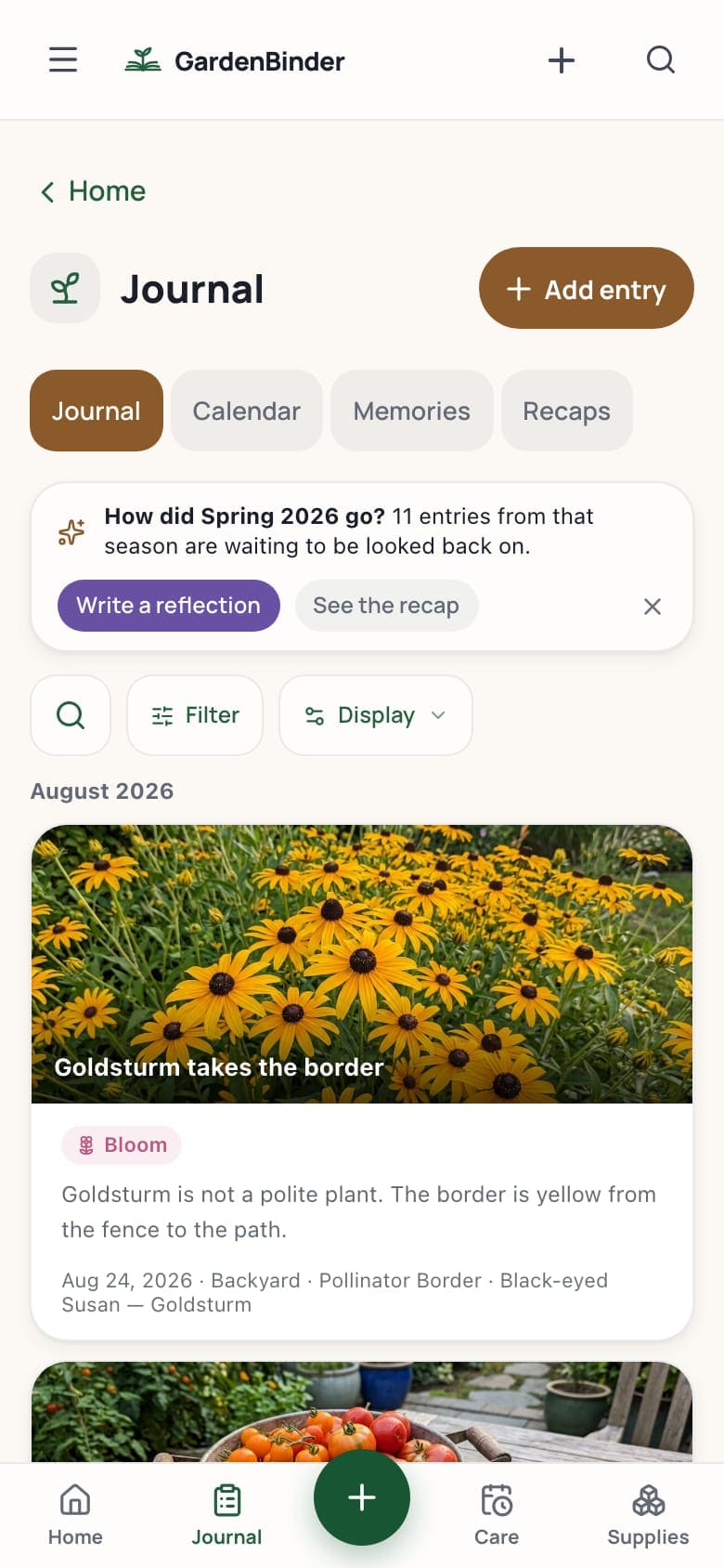 The Journal on a phone: August 2026, Peak tomato weeks tagged Harvest, filed to Raised Bed 1 and Tomato — Sun Gold