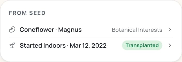 The From seed card on the plant's page: Coneflower · Magnus, Botanical Interests; Started indoors · Mar 12, 2022, marked Transplanted