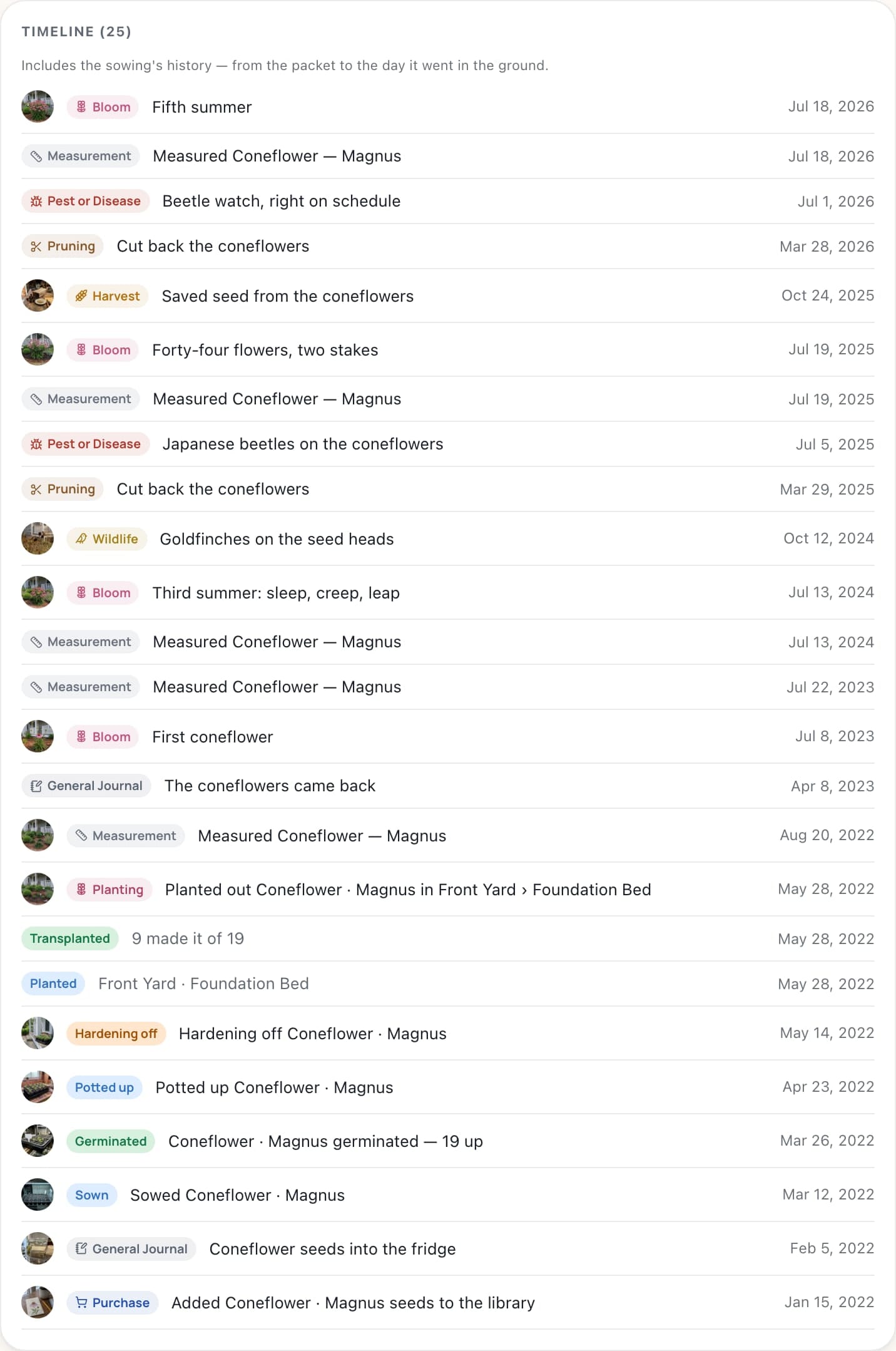 The Timeline card on the coneflower's page, 25 events, 'Includes the sowing's history — from the packet to the day it went in the ground': from Fifth summer, Jul 18, 2026, down through measurements, beetle notes, saved seed, goldfinches, and the first coneflower on Jul 8, 2023, to 2022 — planted out May 28, Transplanted 9 made it of 19, hardening off, potted up, germinated 19 up, sown Mar 12, seeds into the fridge Feb 5, and the packet added to the library on Jan 15, 2022