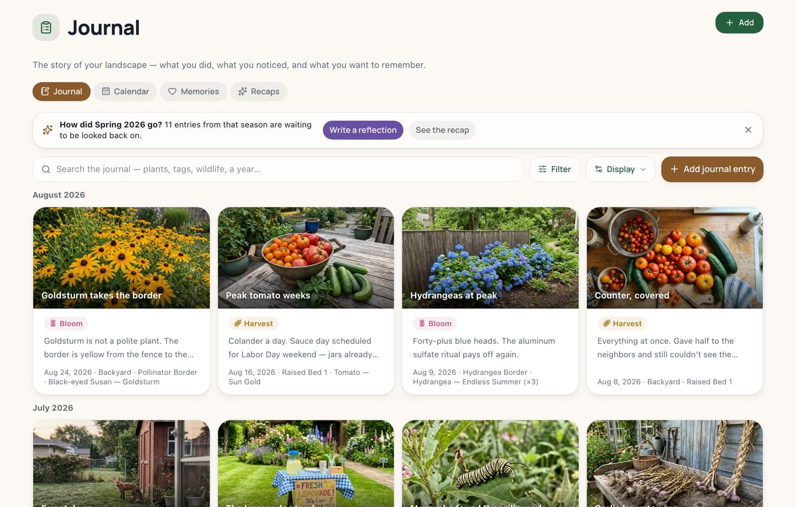 The Journal screen: a search box for plants, tags, wildlife or a year; tabs for Calendar, Memories and Recaps; and four August 2026 cards — Goldsturm takes the border, Peak tomato weeks, Hydrangeas at peak, Counter covered — above July's Fox at dawn, Lemonade stand at the gate, Garlic curing on the bench, and Monarchs found the milkweed